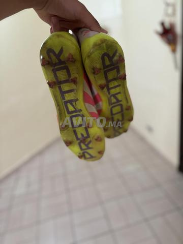 Chaussure PREDATOR elite taille 44 - 2