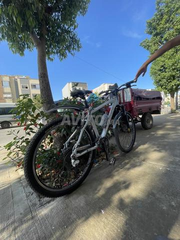 Vélo Orbea.europoriginal - 2