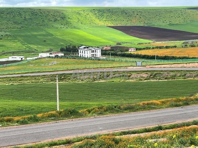 Terrain 2.3ha sur Route P