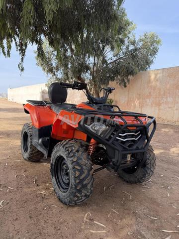 Quad xwolf 300cc & 6 xwolf 200cc - 2