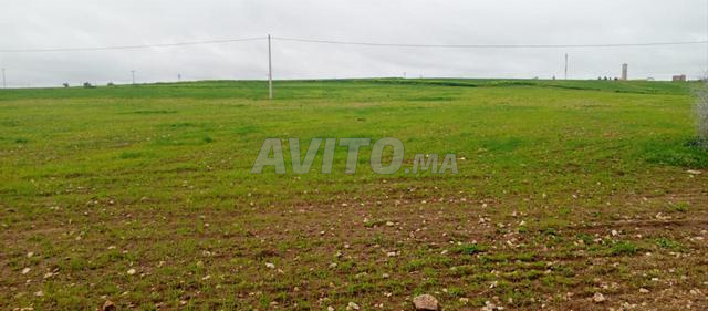Hamza terrain moins cher - 2