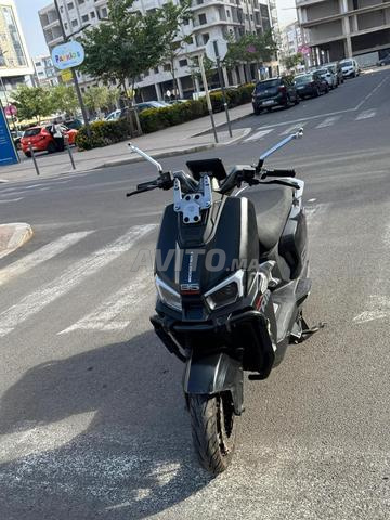 Tailg d100