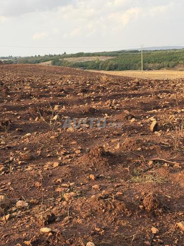 9 hectares à vendre - 2