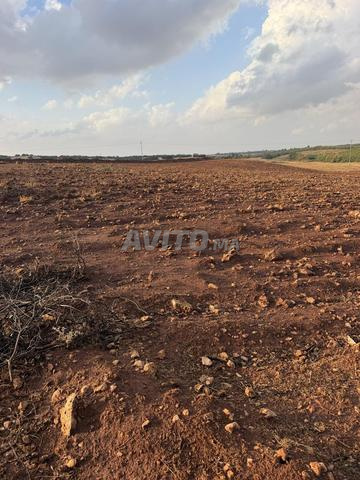 9 hectares à vendre - 2