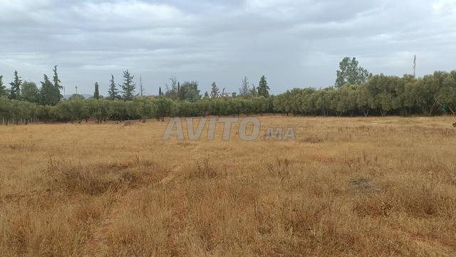 Terrain constructible titré de 8.800 m² - 2