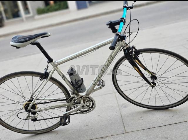 SPECIALIZED Sequoia - دراجة أصلية للبيع بالقنيطرة - 2