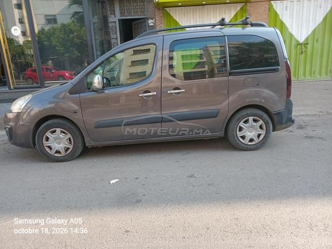berlingo tepe 