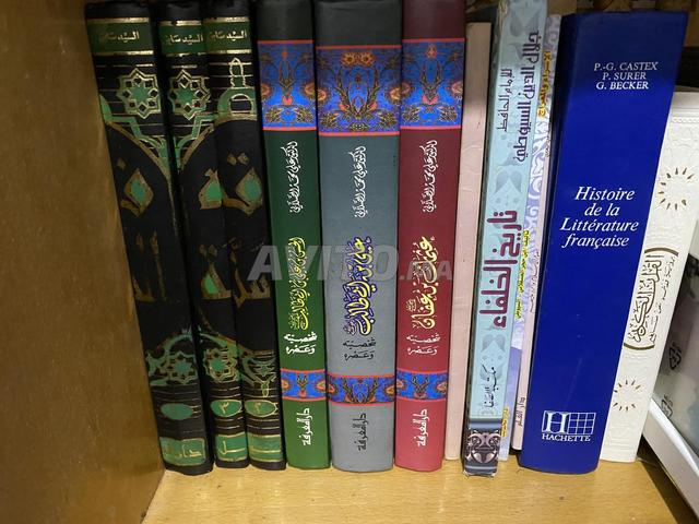 Livres d'histoire et dictionnaires - 2