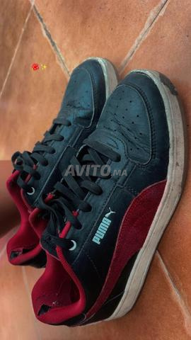 Puma taille 41