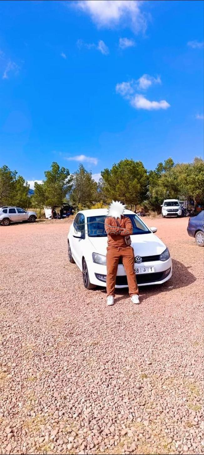 polo jedida
