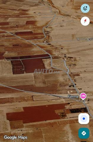 Vente Ferme Titrée 1,3 Ha à Maaziz - 2