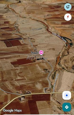 Vente Ferme Titrée 1,3 Ha à Maaziz