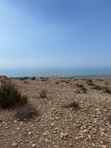 Terrain titré vue mer 17000 m² 200 DH m²