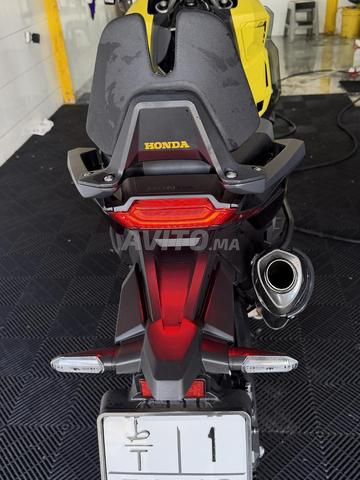 XADV 2025 - 2