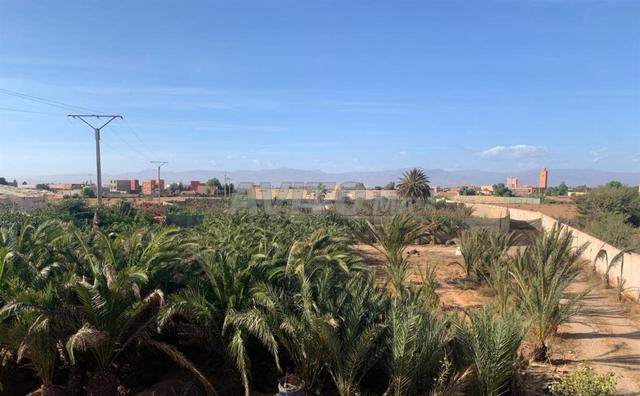 Propriété 1,55 ha Entrepôt 1000m² et maison 200m²