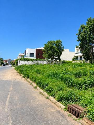 Terrain de 374 m² à Vendre à Kénitra au Golf