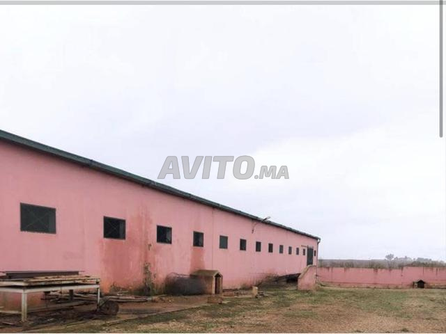 Ferme équipée à vendre - 2