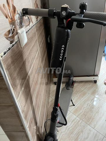 Trottinettes électriques