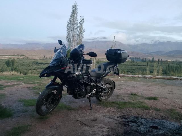 BENELLI TRK 502 X - 2