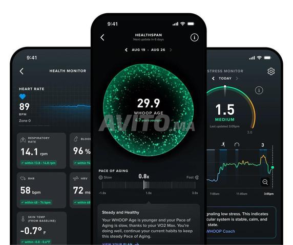 ووب بيك 5.0 جديد 13 شهرًا - 2
