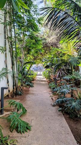 Appartement à louer au Bd Mly Youssef - 2