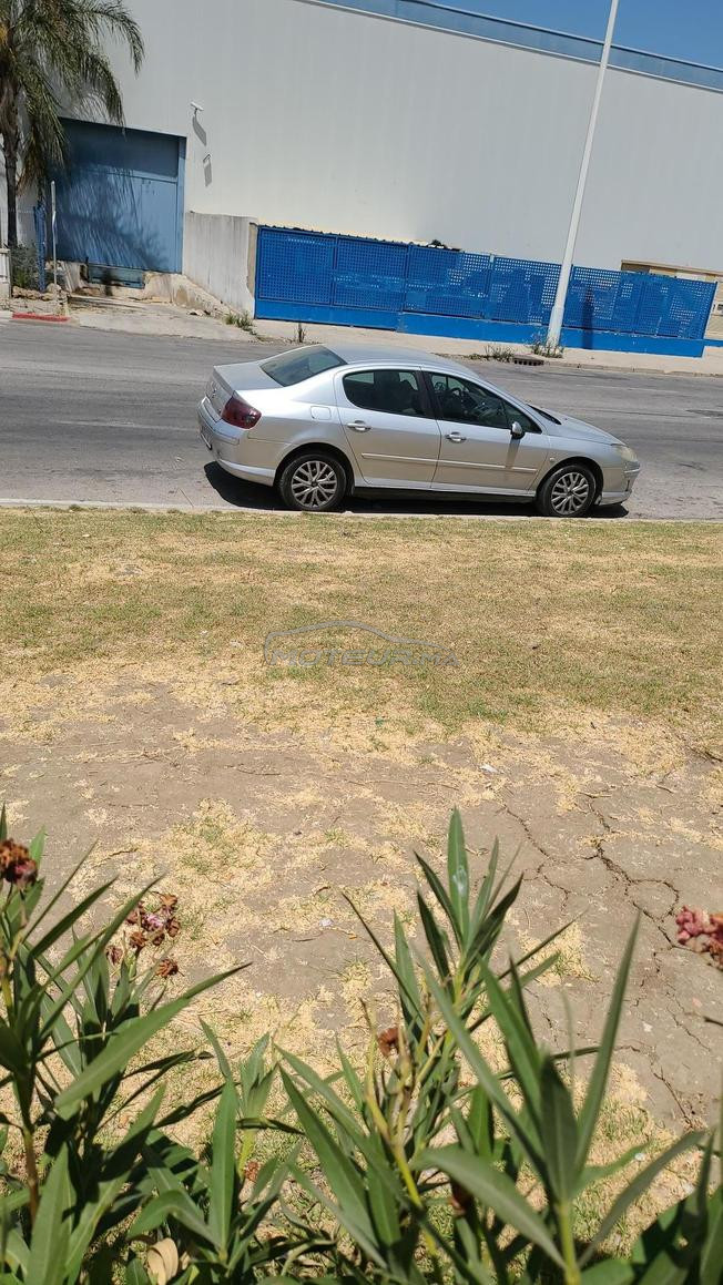 طنجة مغوغة