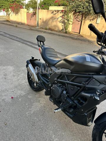 بينيلي 502 سي - 2