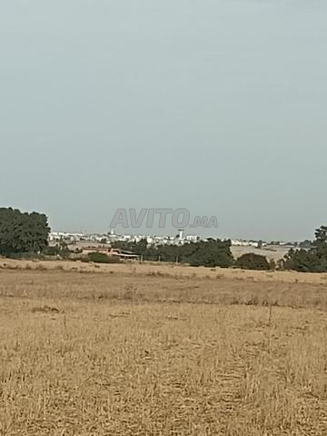 Hectare proche de El Menzah et Temara - 2