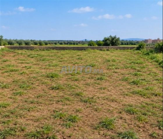 Terrain à vendre dans la ville de Beni Mellal