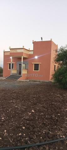 Ferme sur El Goudroun - 2