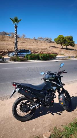 Biker cross - 2