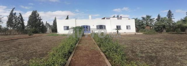 Fermette villa 2600 m2 Ain Laqsob - 2