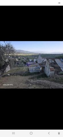 أرض محفظة للبيع، القلعة، خميس أنجرة، طنجة - 2