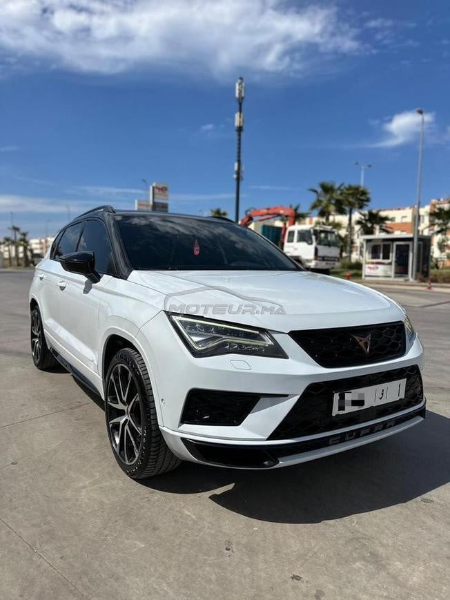 cupra turbo 