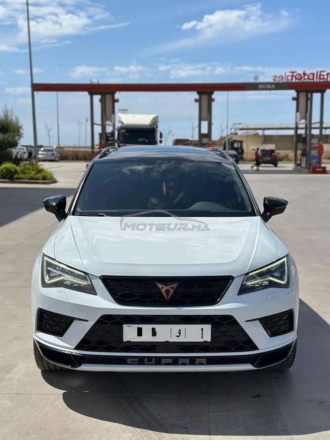 cupra turbo 