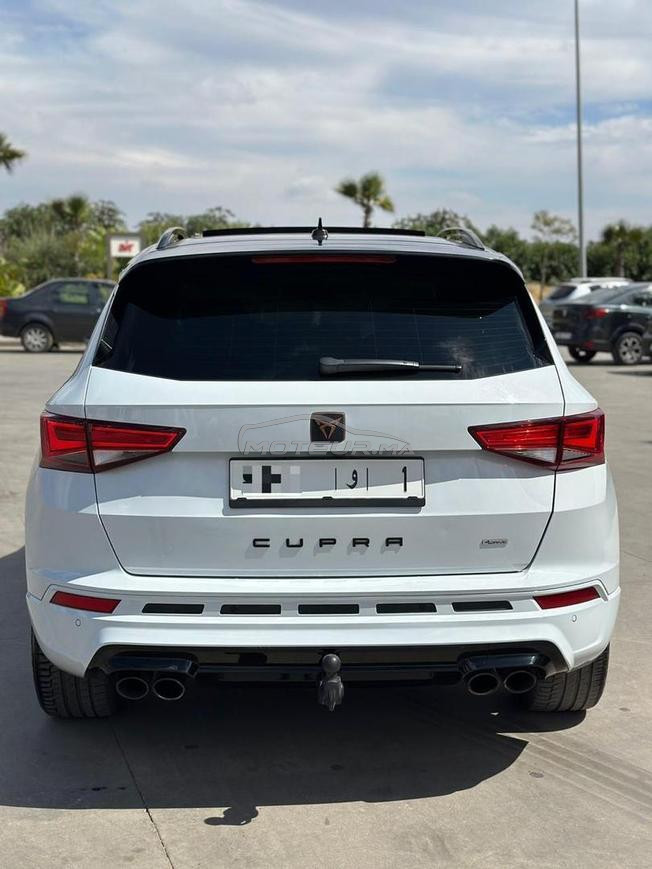 cupra turbo 