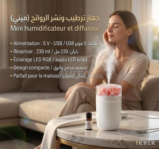 Mini Humidificateur USB HEIFER – Brume d'air et diffuseur de parfum