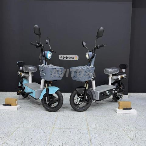 Scooter électrique FALCON RIDE 48V - 2