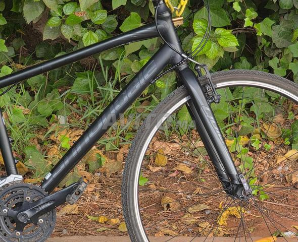 Cannondale Quick 6 neuf