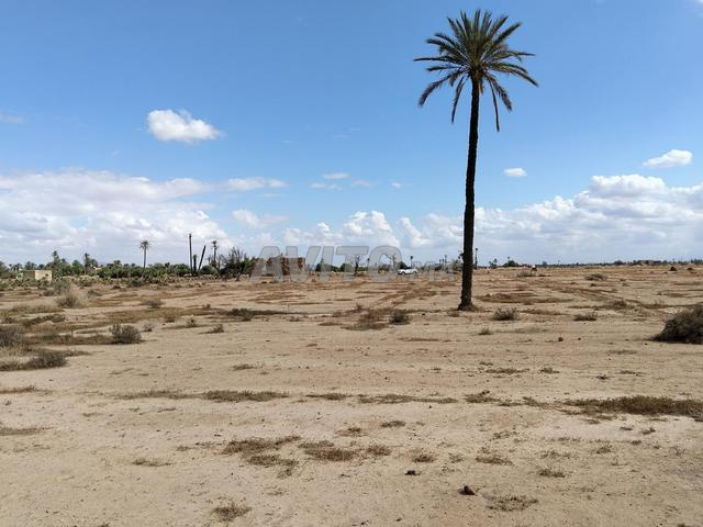 À VENDRE TERRAIN TITRÉ – ROUTE DE FÈS, MARRAKECH - 2