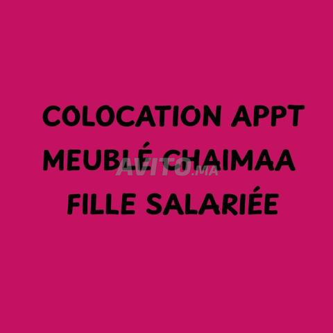 COLOCATION APPT MEUBLÉ CHAIMAA FILLE