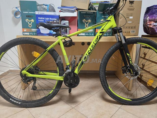 VTT Orbea MX 40 original, taille M/L