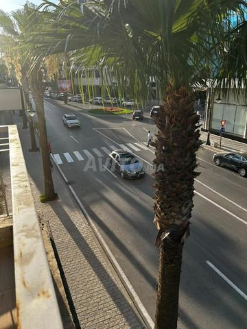 Appartement de luxe meublé à louer à la journée à Tanger