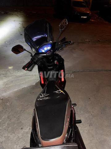 Cooper sline 2023 - 2