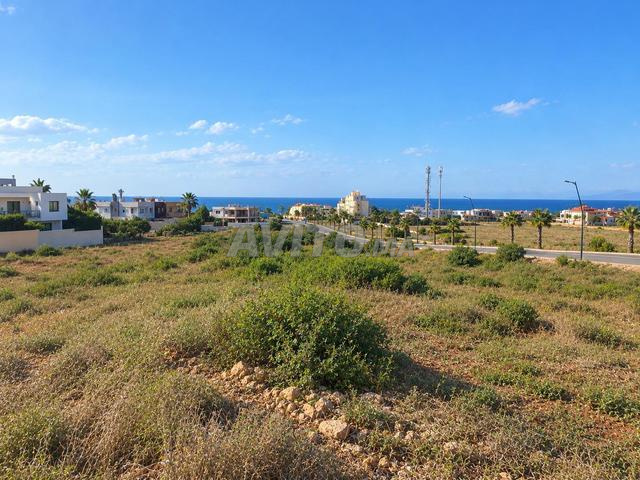 Terrain à Dar Bouazza, titré, 2 hectares à vendre