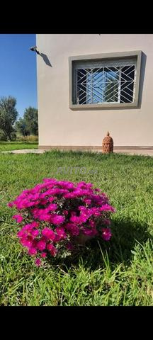 Ferme titrée 6000m2 à vendre (Settat) - 2