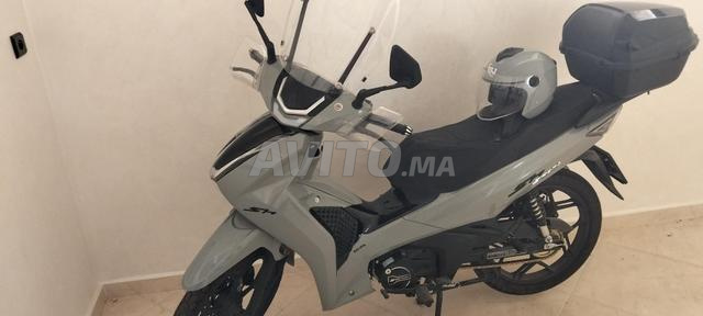 Moto sh daytona