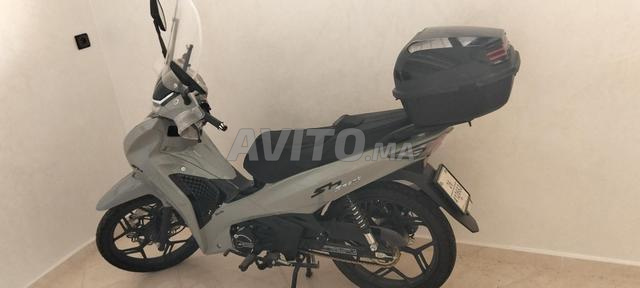 Moto sh daytona - 2