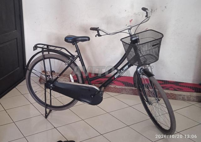 Vélo type Hollande