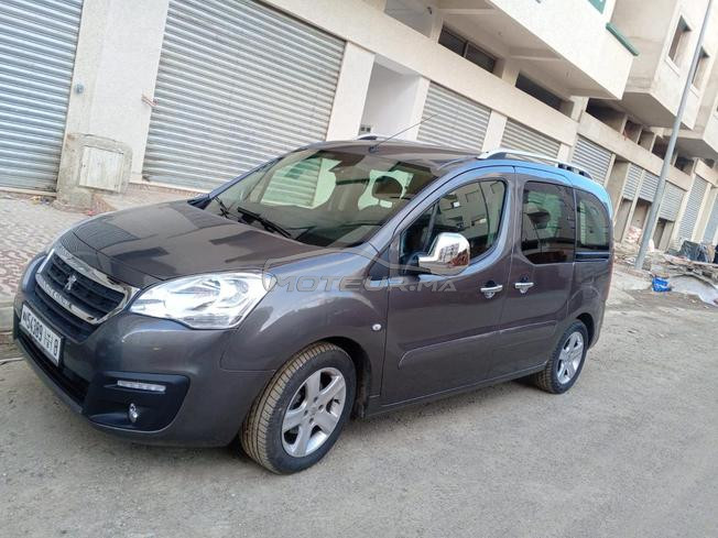 Peugeot tepee 
